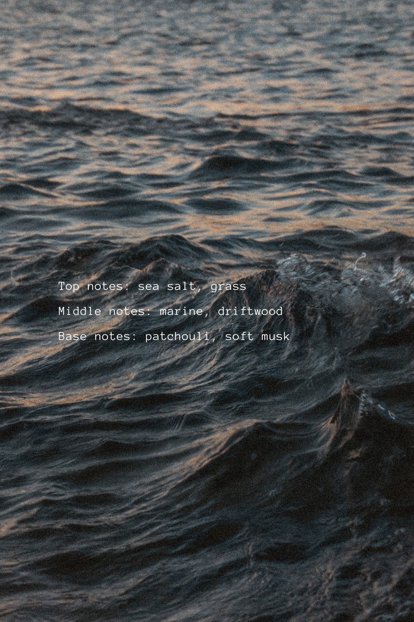 In the Sea Candle | Soy Wax Amber Candle | Ocean Scented: Wood Wick