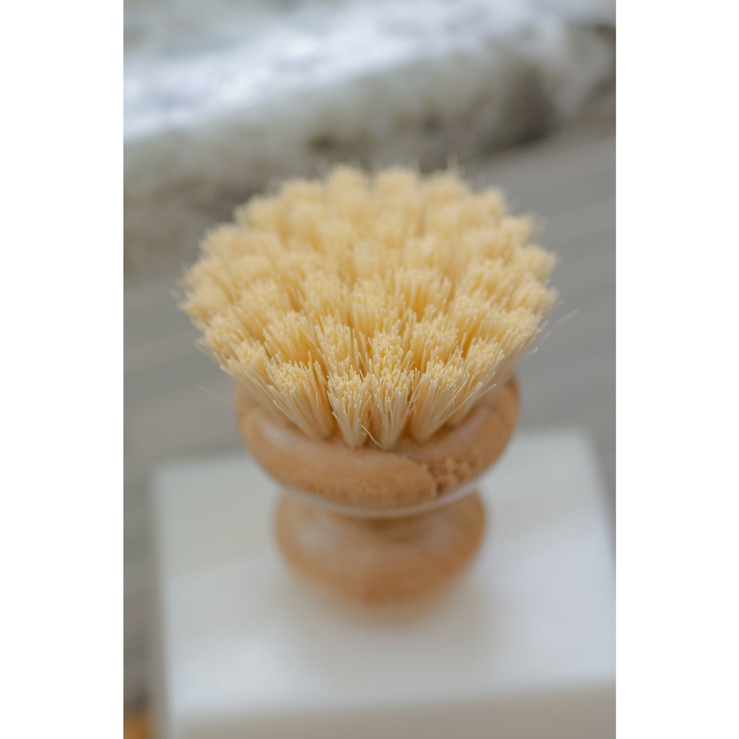 Casa Agava Dishwashing Brush
