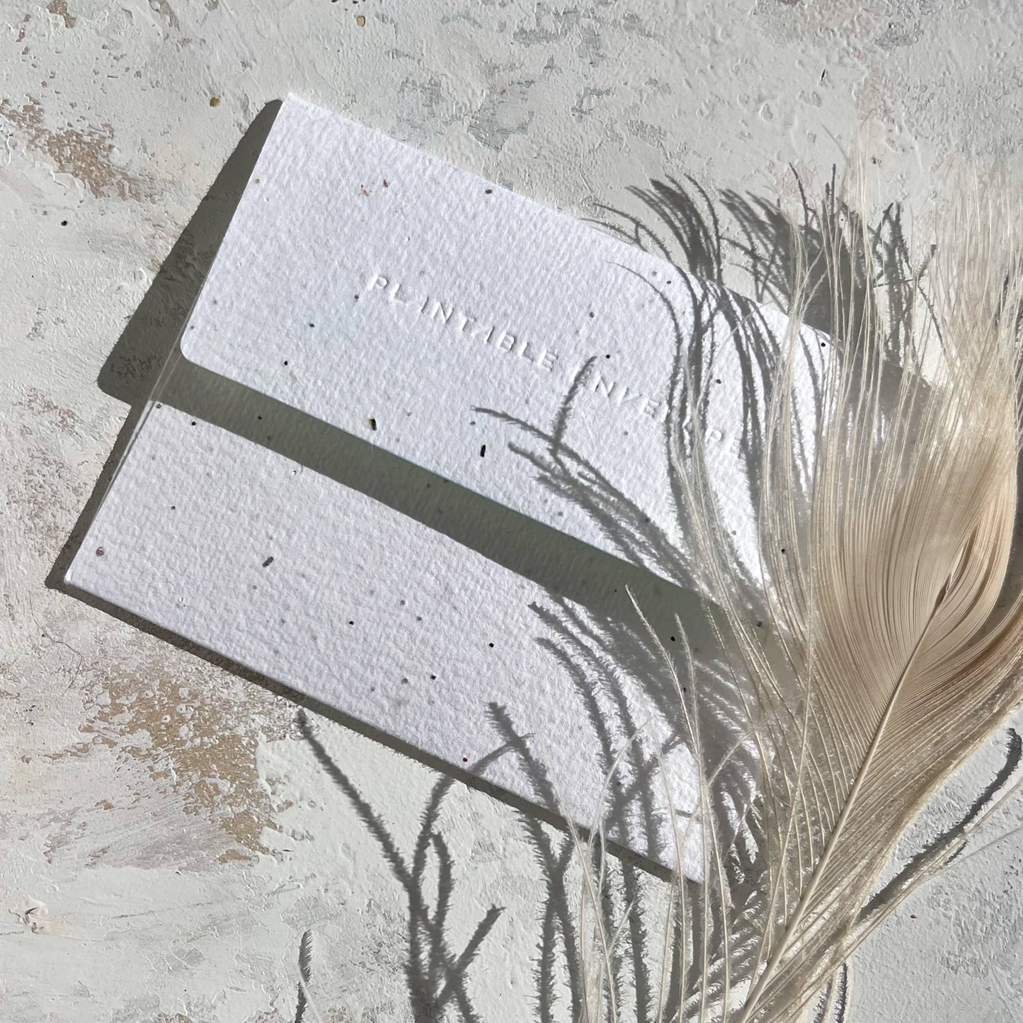 California - Just to Say Hi Card