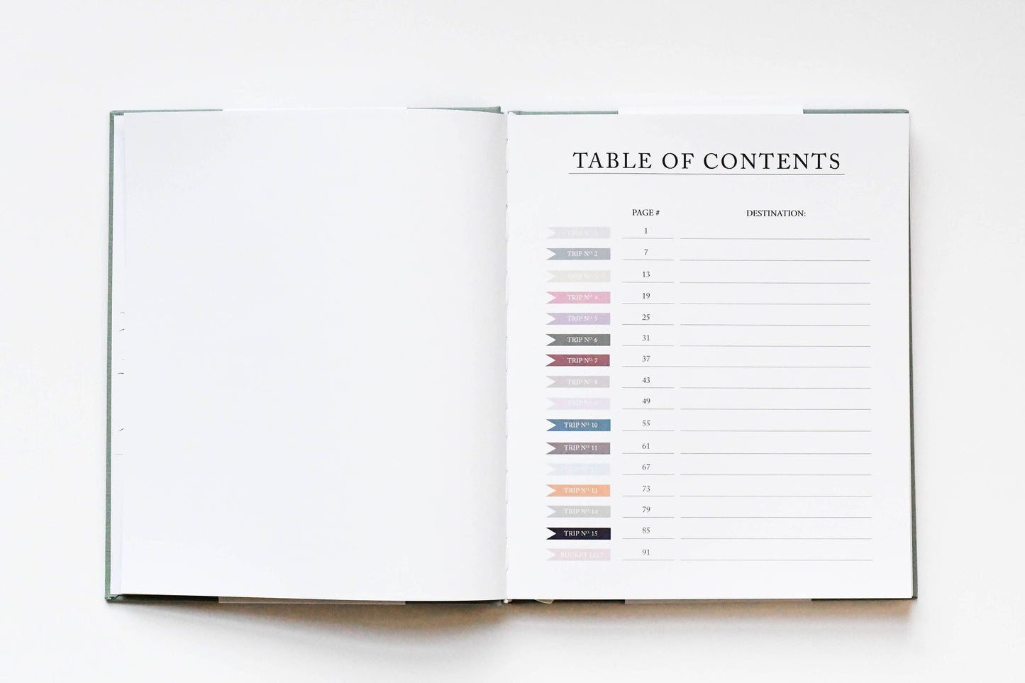 Travel Journal | Adventure Keepsake | Trip Adventure Book: Sage Green