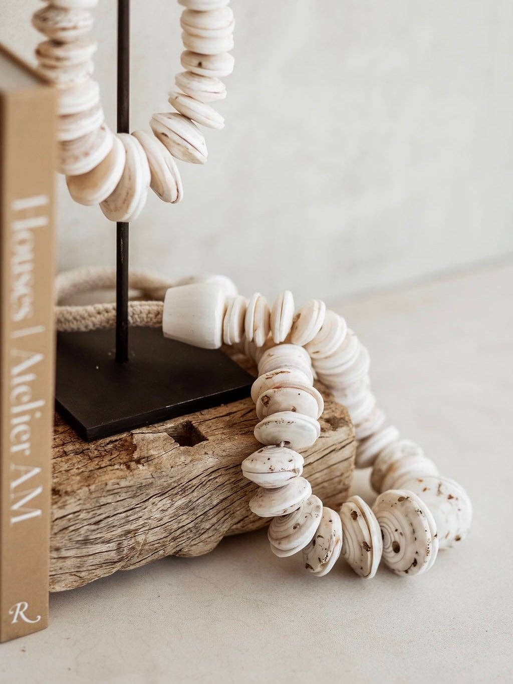 Pacific Shell Decor – Luxe Studio Design
