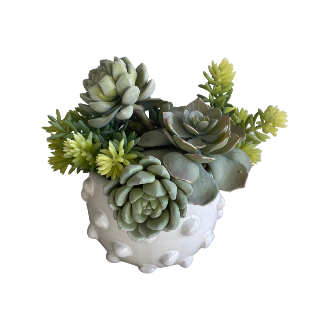 faux succulent white pot Faux Succulent Arrangement in White Textural Pot – Luxe Studio Design